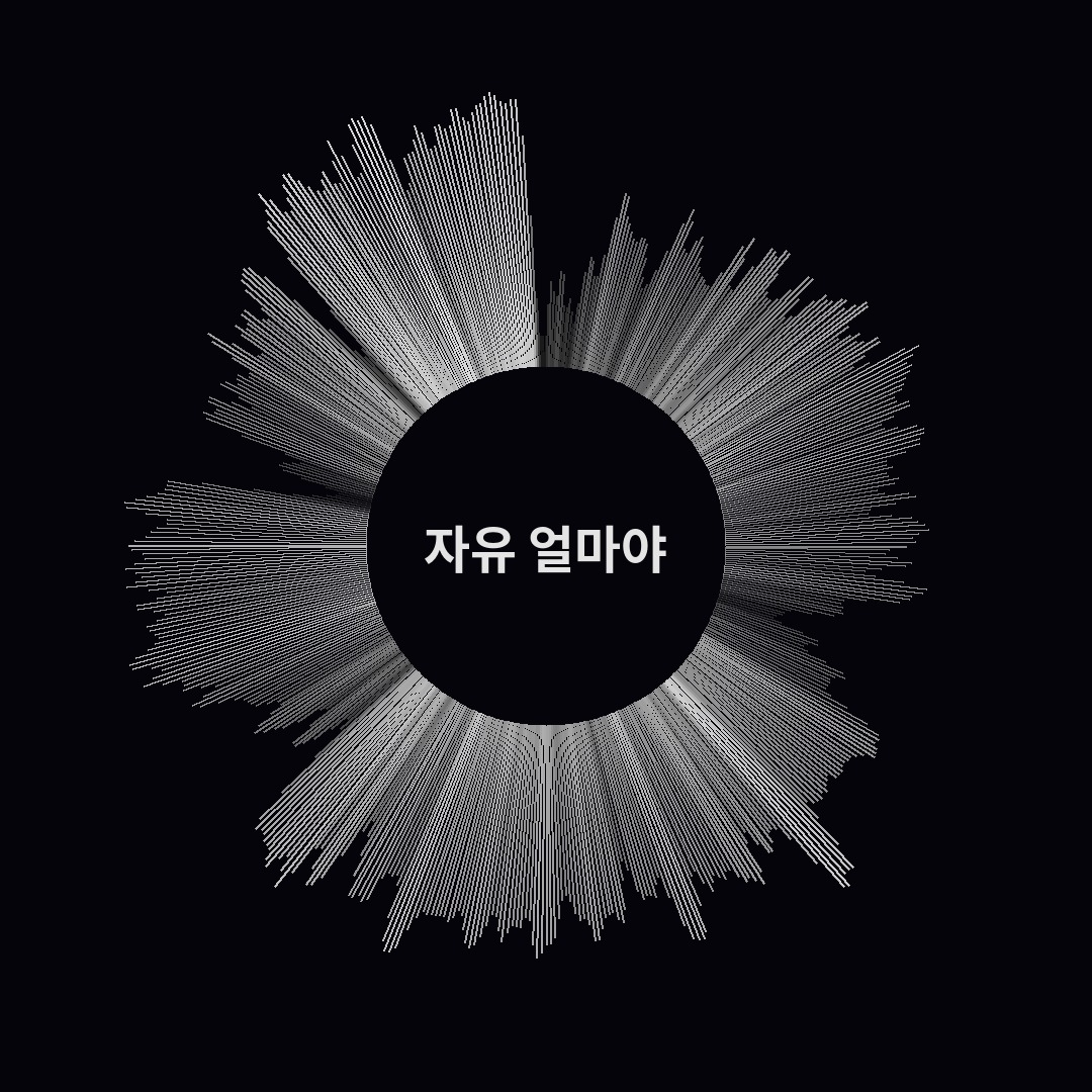 The shape of 자유 얼마야?