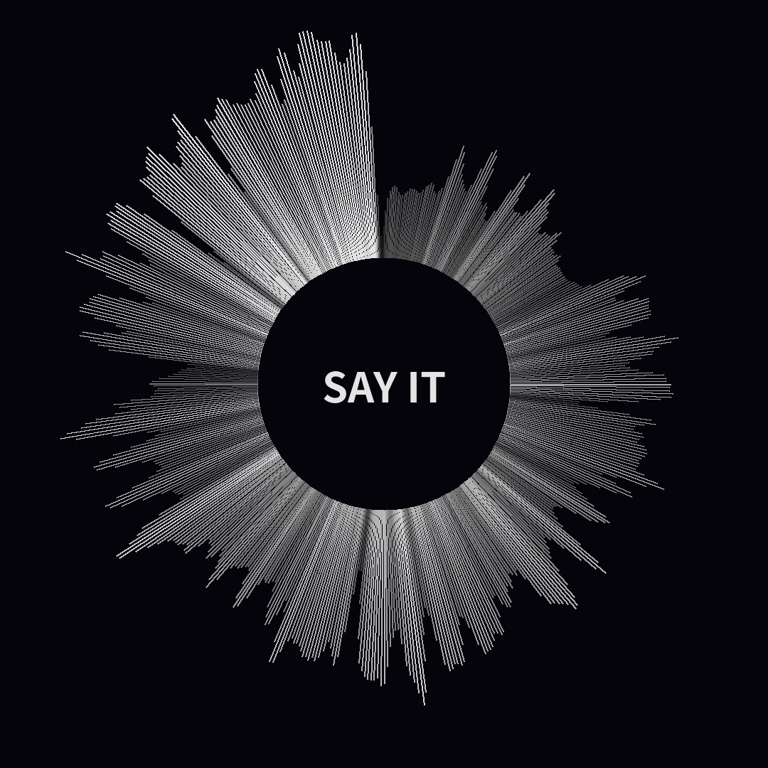 The shape of SAY IT