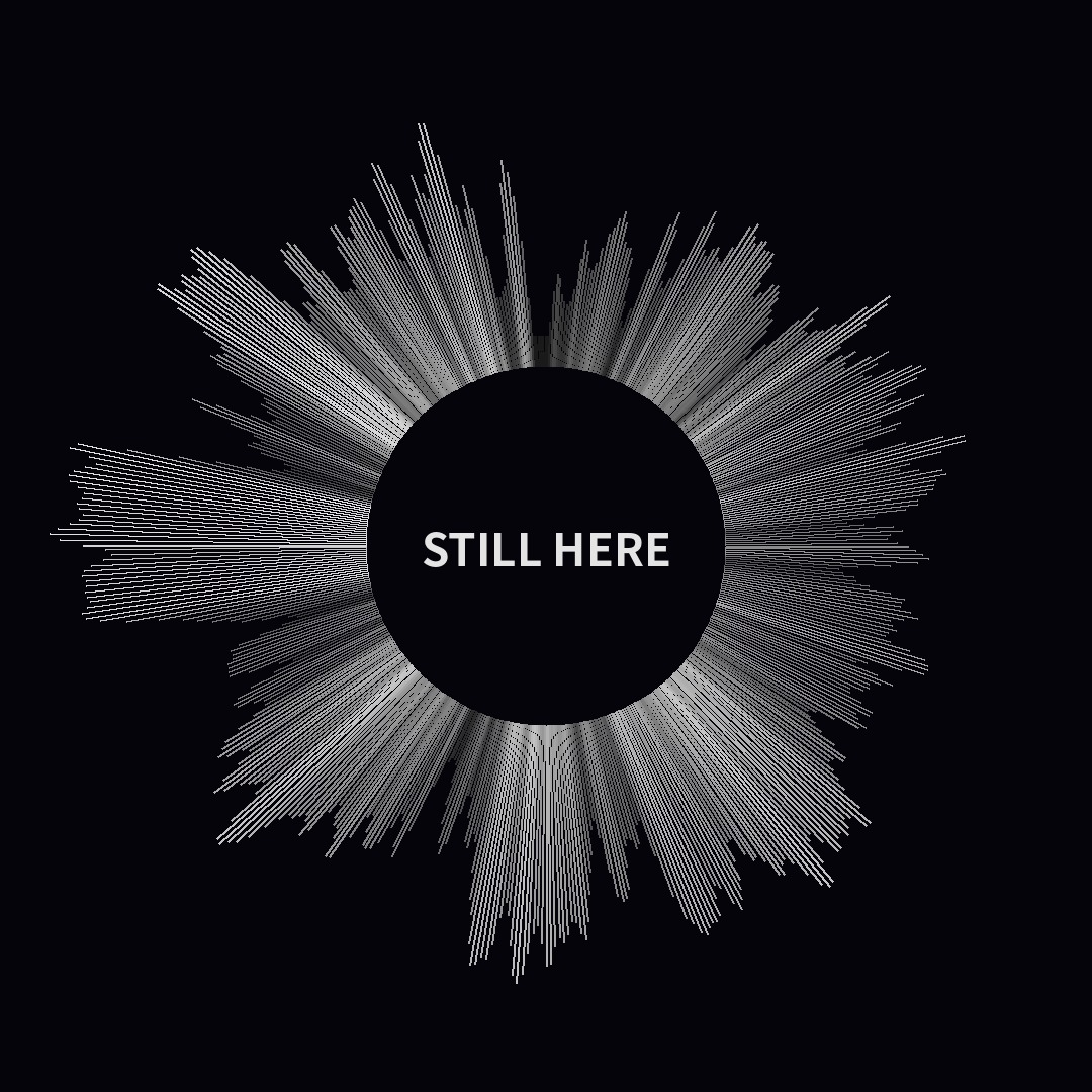 The shape of STILL HERE
